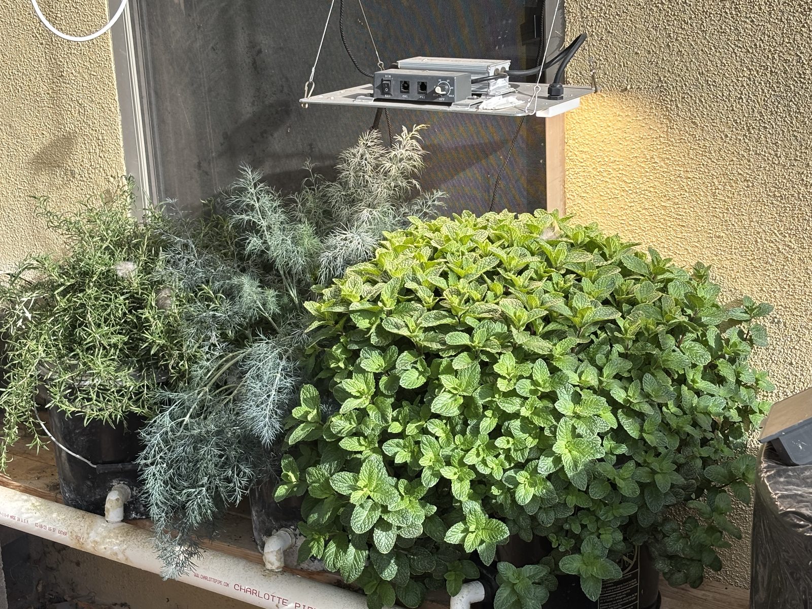 Outdoor Herb Wintering Shelter