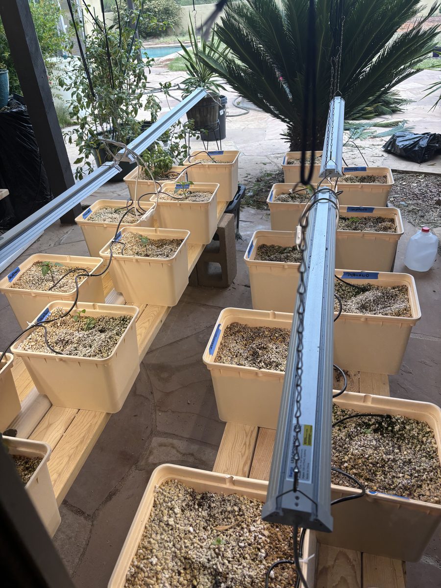 Bato Bucket Array
